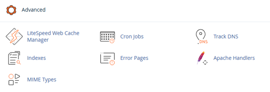 How to Use the Index Manager in cPanel- cPanel Domains Tools